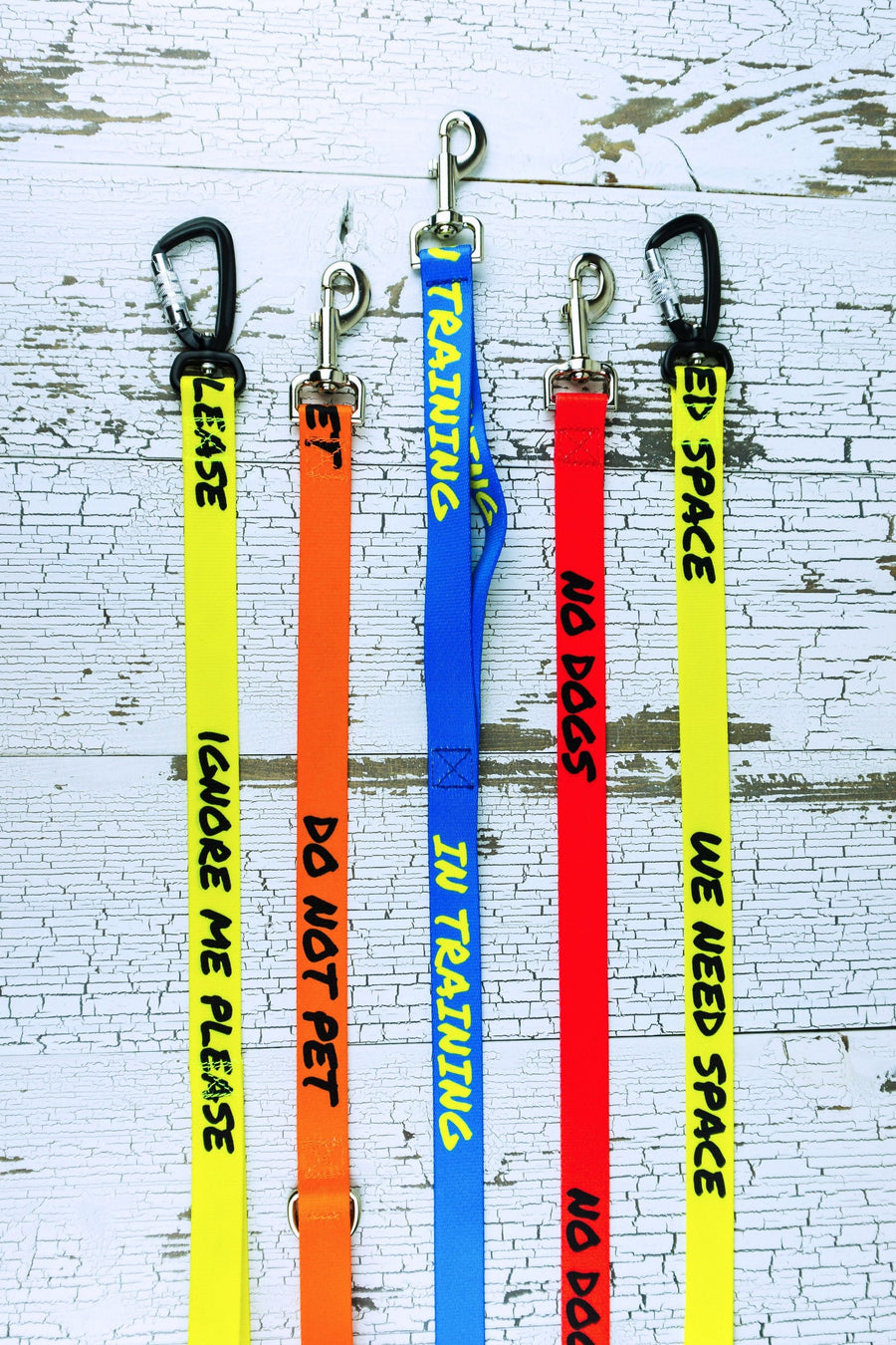 Examples of leashes with caution messaging such as do not pet or we need space.