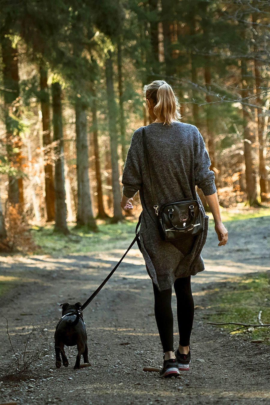 Hands Free Leashes