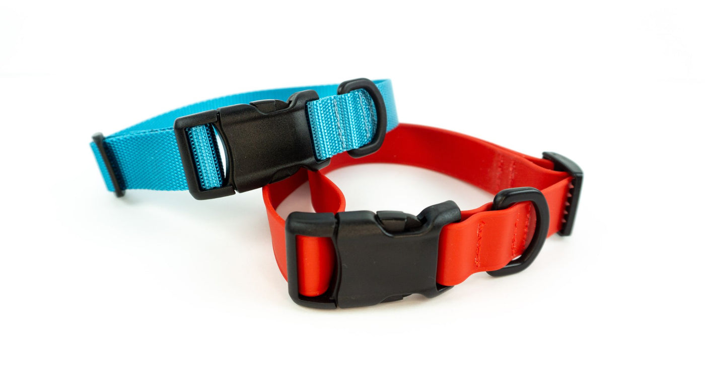 No metal dog collars, light blue in nylon webbing and red in coated webbing.