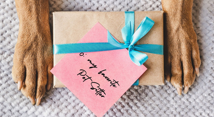 Dog paws flanking a brown wrapped gift package with a light blue bow, the text on the label says to my favorite pet sitter.