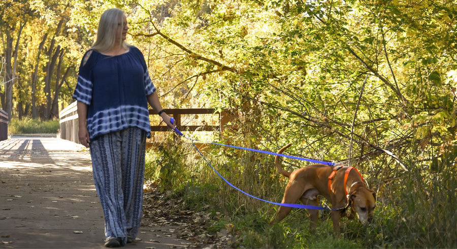 Adult female walking an apricot colored mixed breed dog along a tree lined path, the dog is in an orange harness by using a blue double ended no pull dog leash