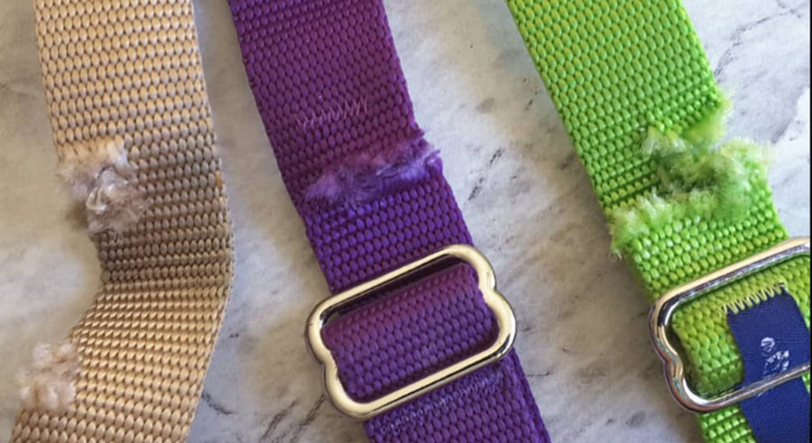 closeup of three nylon webbing dog harness straps, each of which have been chewed by a dog.