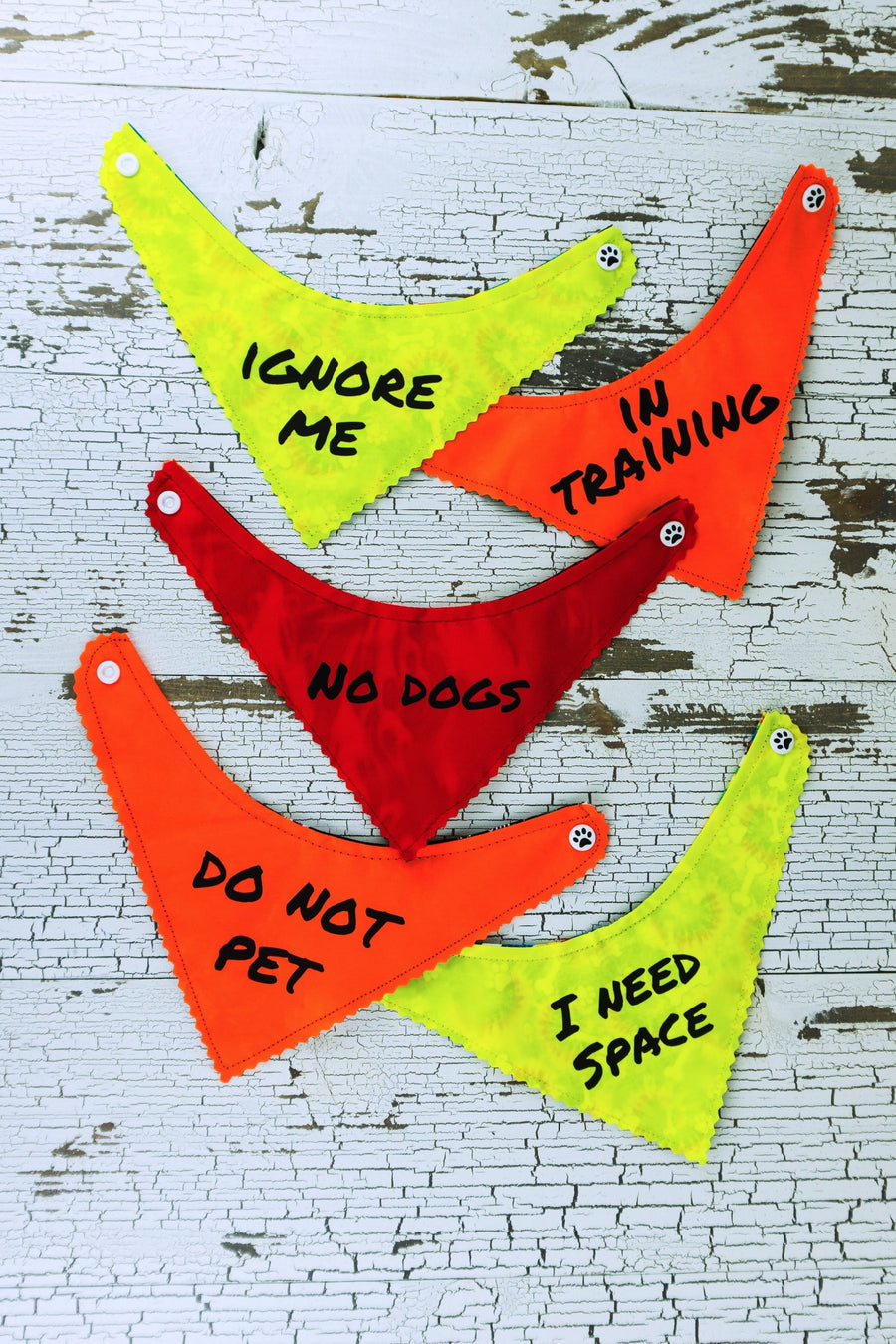 five brightly colored dog bandanas laid flat, displaying messages such as "ignore me", "no dogs", "I need space" and more.