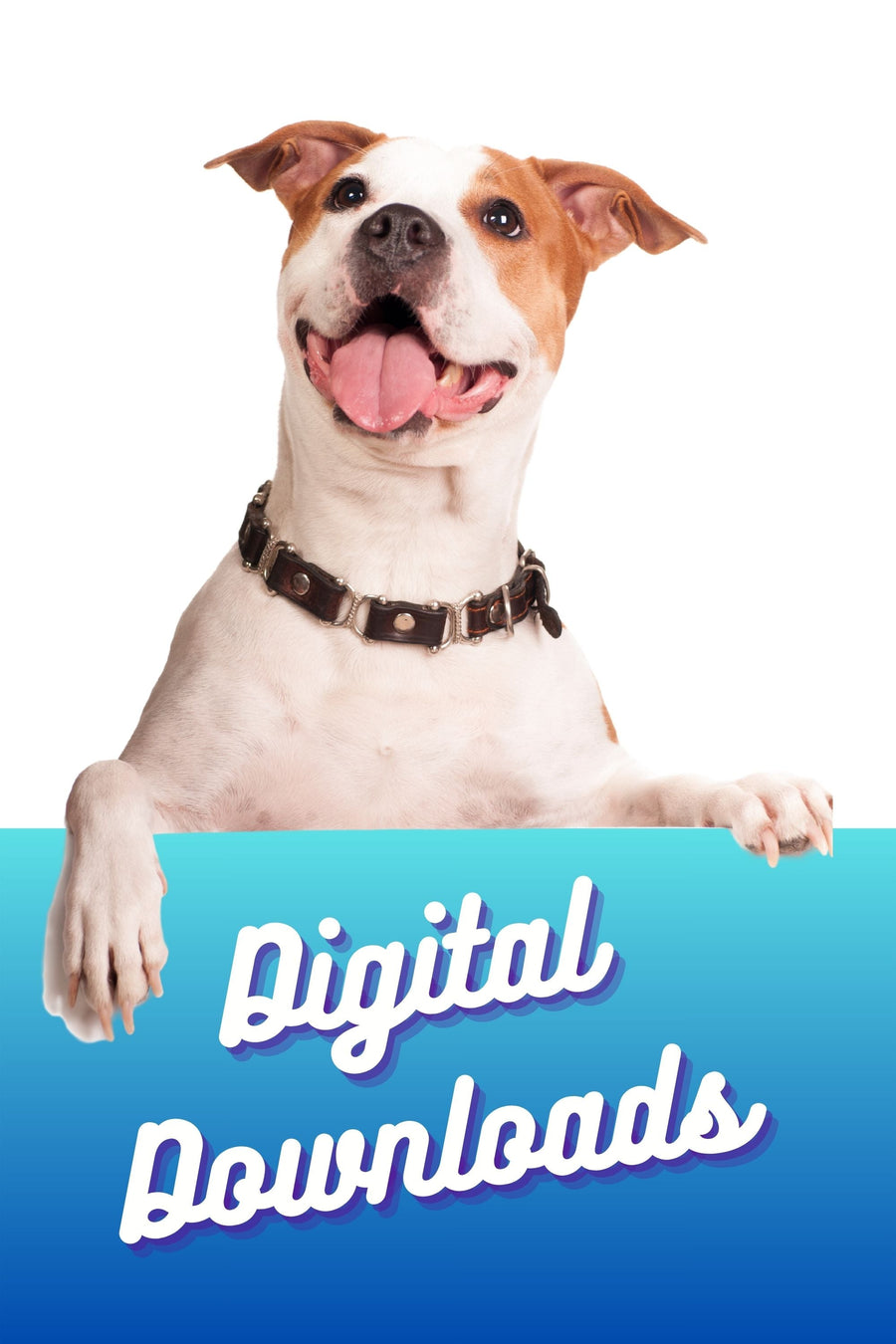 Generic image for digital downloads product collection