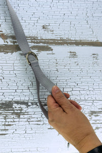 closeup of leash handle