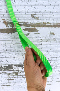 closeup of leash handle