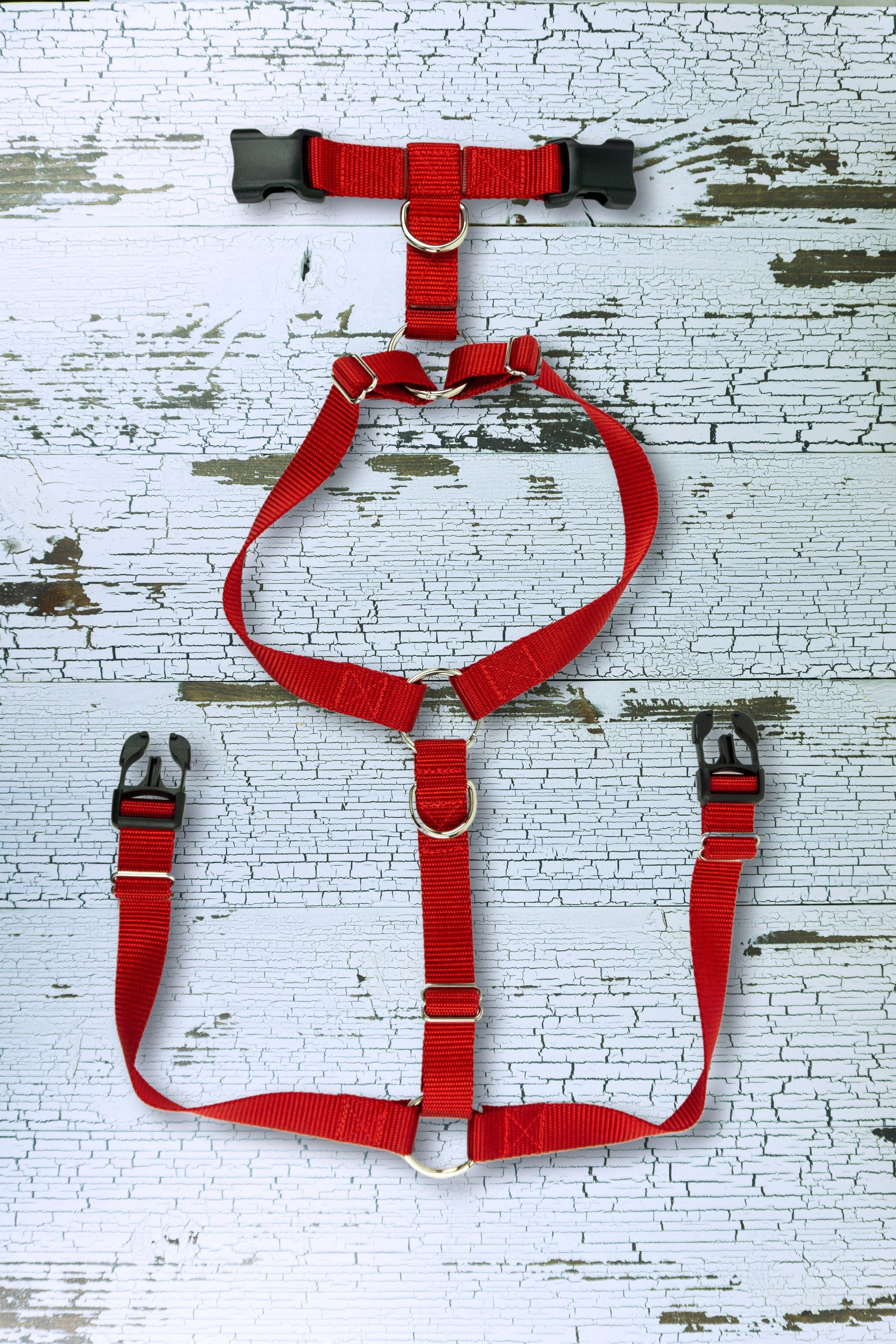 Y-Front Harness