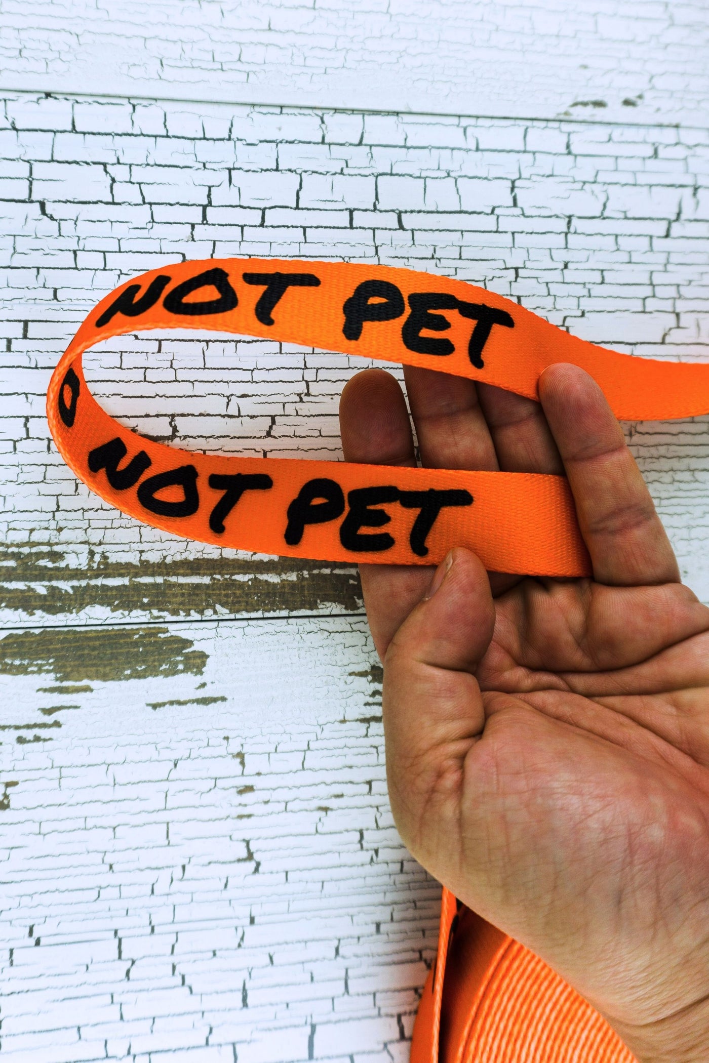 A closeup of the do not pet message in black on orange webbing is showing the text on both sides of the sublimated webbing.