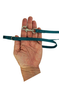 Closeup of the leash hardware for dogs under ten pounds.