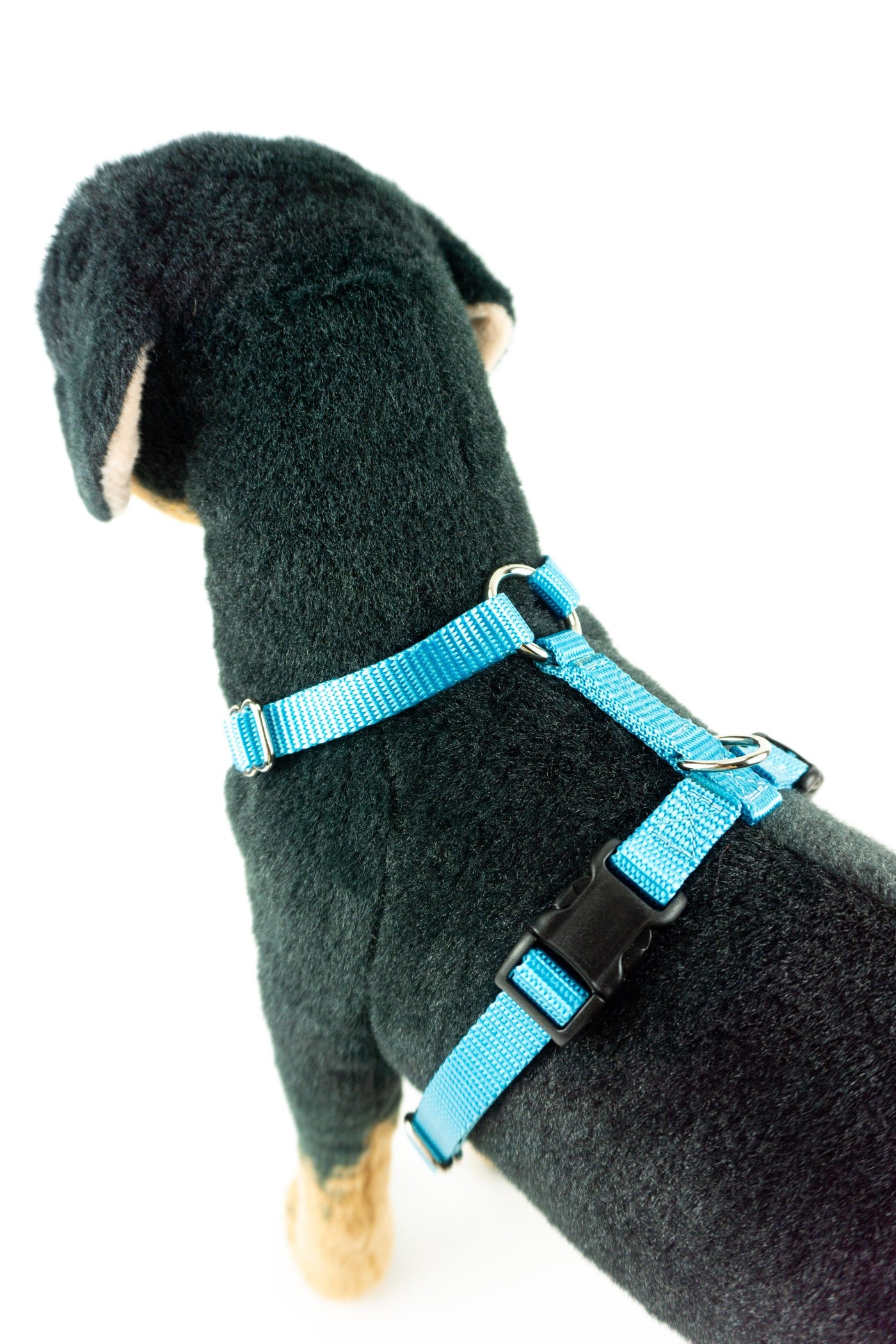 Y-Front Harness