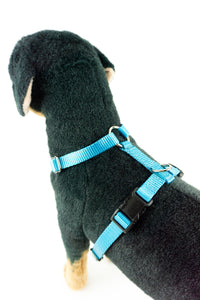 light blue harness on a dog mannequin