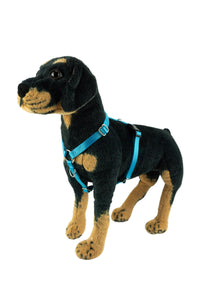 light blue dog harness shown on a dog mannequin