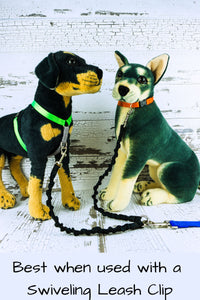 Bungee leash couplers are best when used with a swiveling leash clip as shown with two dog mannequins.