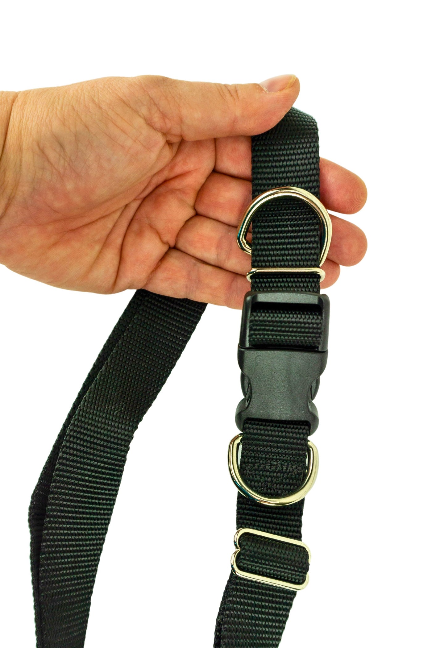 Light weight hands free leash belt held in the hand of an adult to show the scale of the belt hardware.