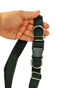 Light weight hands free leash belt held in the hand of an adult to show the scale of the belt hardware.