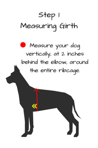 Step 1 measure your dog's girth vertically at 2 inches behind the elbow, measuring around the entire ribcage.