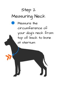 step 2 measure your dogs neck circumference from the top of the back to the bone at the sternum