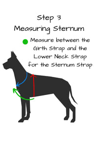step 3 measure your dogs sternum by measuring the distance between the firth strap and the lower neck strap for the sternum length.