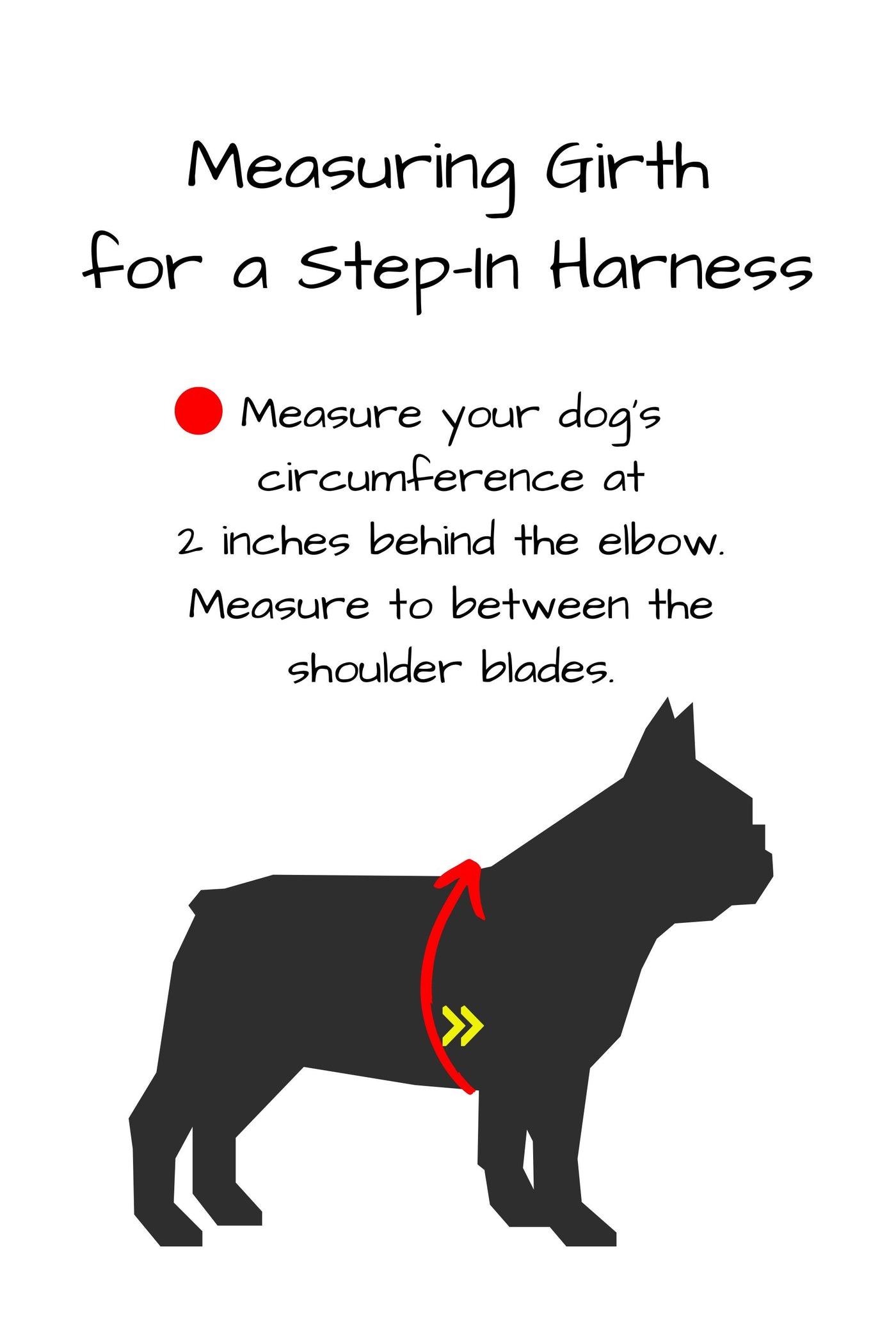 Measure your dog for a step in harness by first measuring your dogs girth circumference at 2 inches behind the elbow. Measure to between the shoulder blades.
