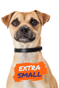 placeholder image for extra small dog collars