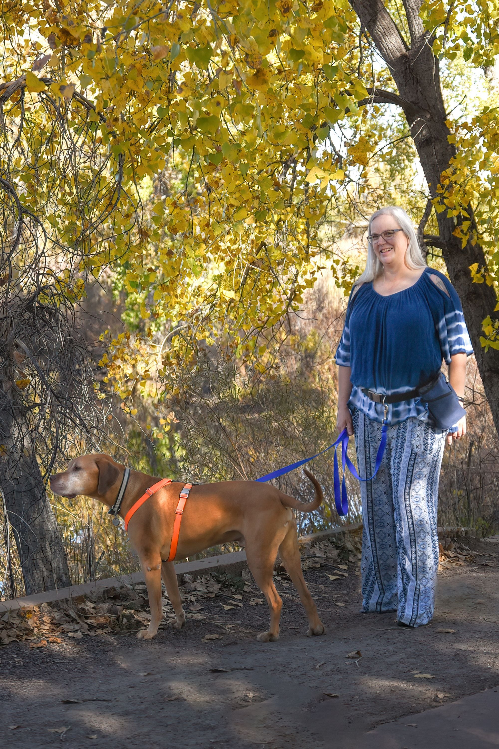 apricot colored mixed breed dog in an orange harness walking with his female guardian dressed in blue, highlighting the 8 foot adjustable leash in blue.