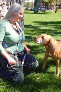 apricot colored dog standing under a tree, looking up at his guardian in a kneeling position. Photo highlights a 4 foot hands free leash connected to a cross body strap.