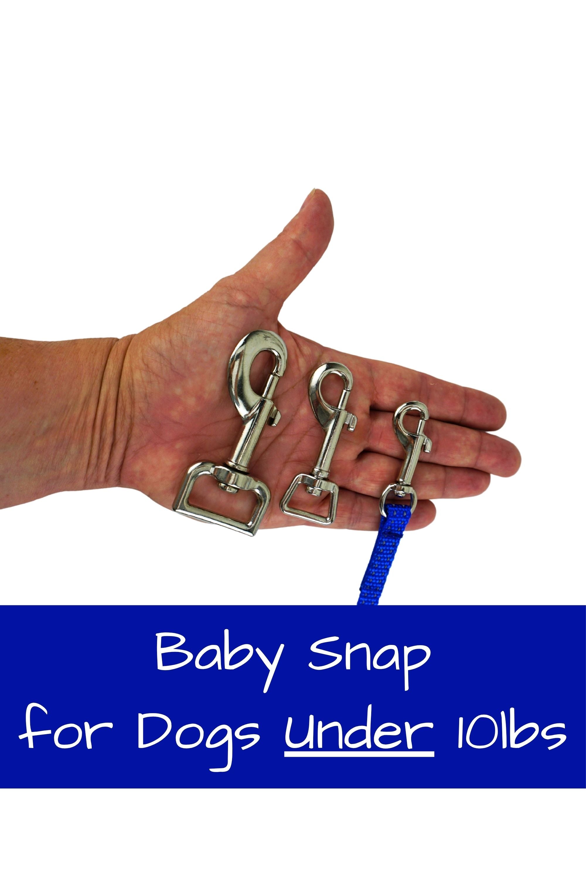 Leash Coupler for Extra Small Dogs