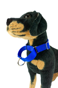 blue slip on martingale collar on dog model, showing the martingale loop with metal d ring.