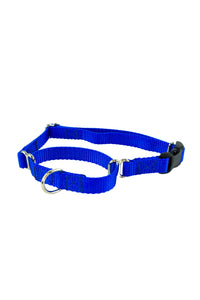 blue martingale buckle collar in five eights inch wide webbing.