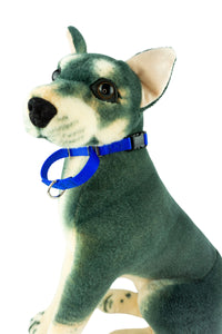 blue martingale buckle collar in five eights inch wide webbing shown on a dog model.