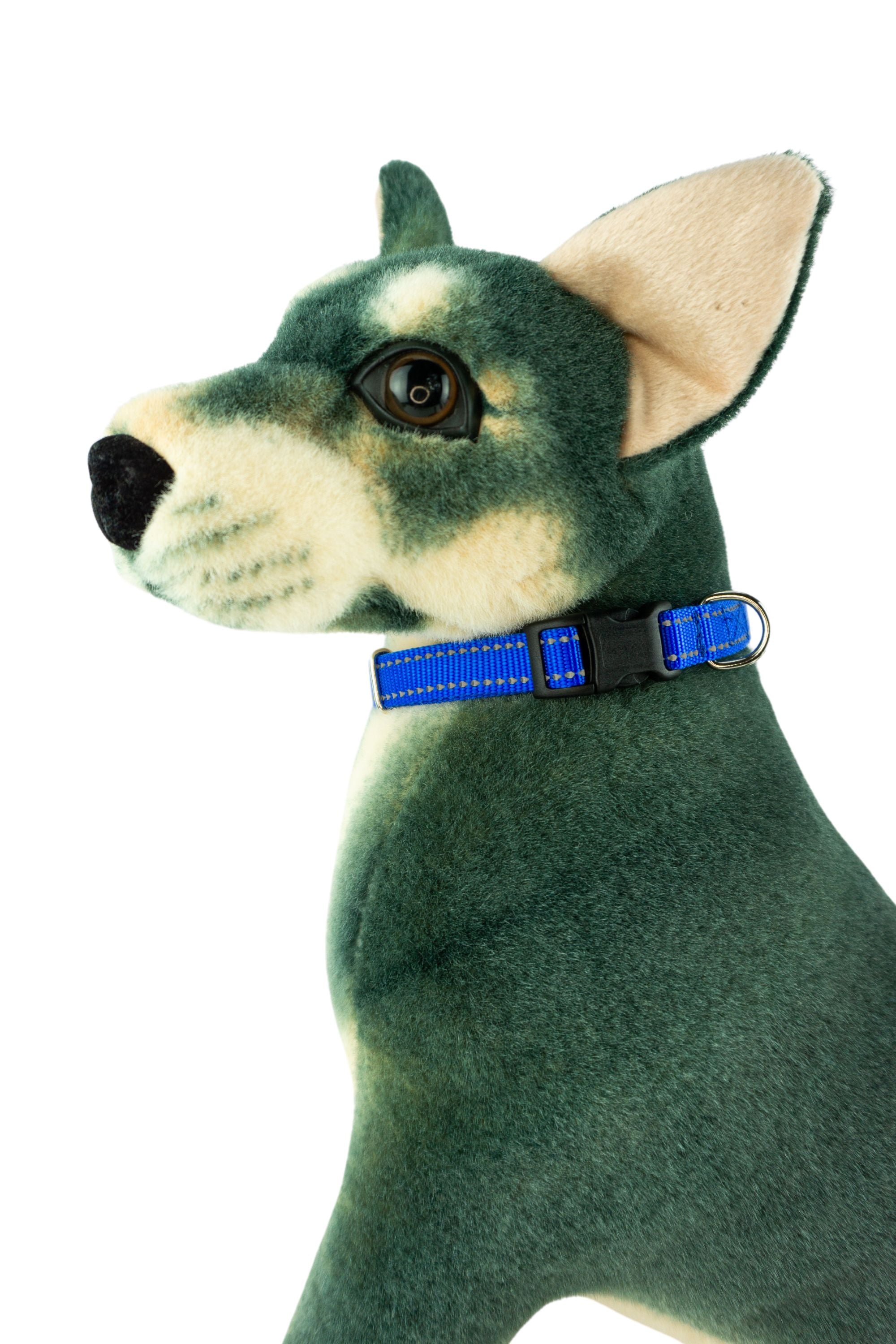 blue reflective flat collar with side release buckle on a dog mannequin.