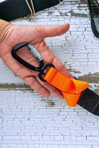 Image shows the loop handle leash clip in the palm of an adult hand for scale, showing the back of the loop as it is connected to the d ring of the leash belt.