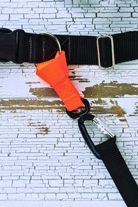 The loop handle leash clip is shown in a closeup as it is connected to the fixed d ring of a hands free leash belt. a one inch webbing belt is also shown sitting in the auto locking carabiner clip.