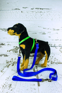 Adjustable length no pull leash shown in blue set up on a black and brown dog mannequin, one end of the leash is clipped onto the front of the dogs harness while the opposite end is clipped to the back of the dogs harness, and the leash handle is clipped to the floating d ring.