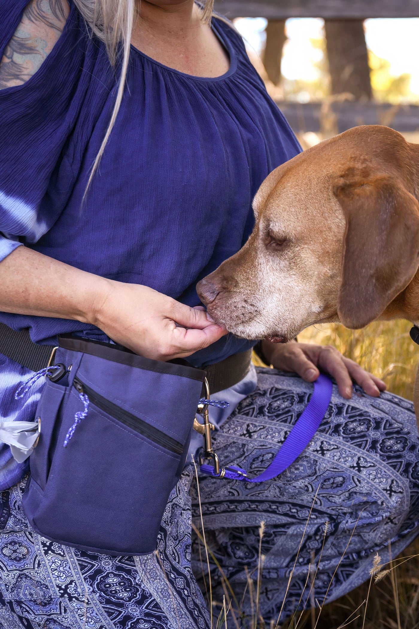 Extra large treat bag in navy blue with a zip front pocket shown with an adult female handing an apricot colored mixed breed dog treats from the training pouch.