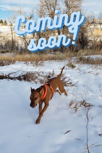 Reflective Handheld Leash for Small Dogs