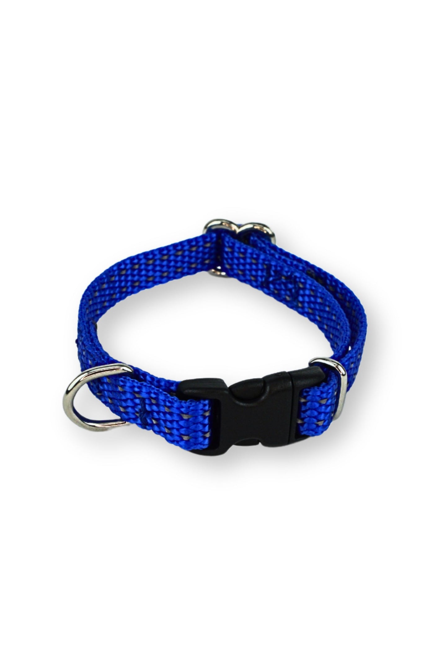 extra small dog collar in flat collar design in blue webbing with a black plastic buckle.