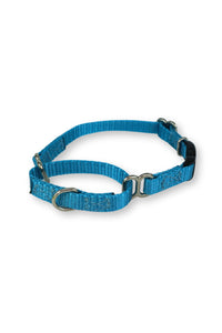 martingale buckle collar for extra small dogs in light blue.