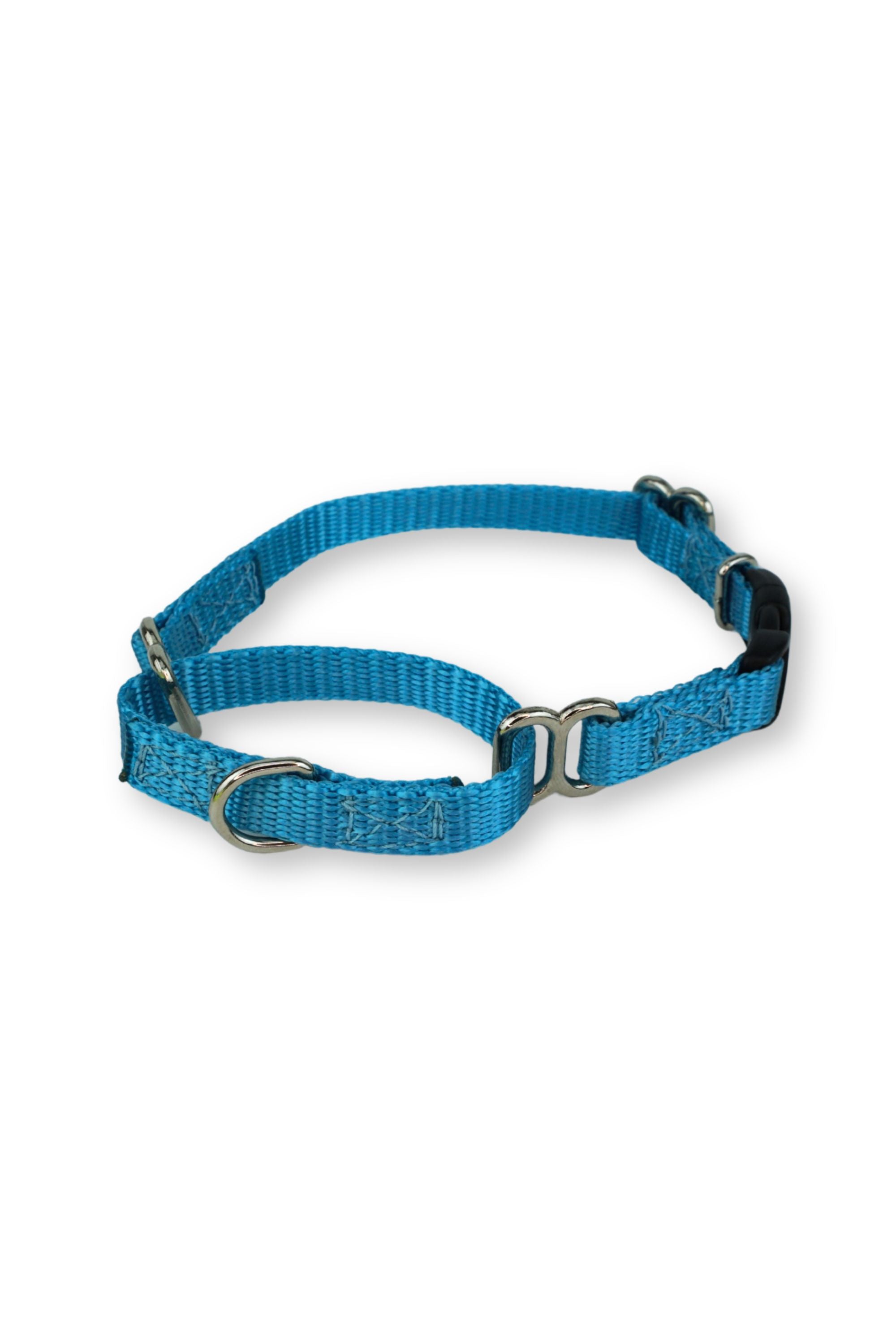 martingale buckle collar for extra small dogs in light blue.