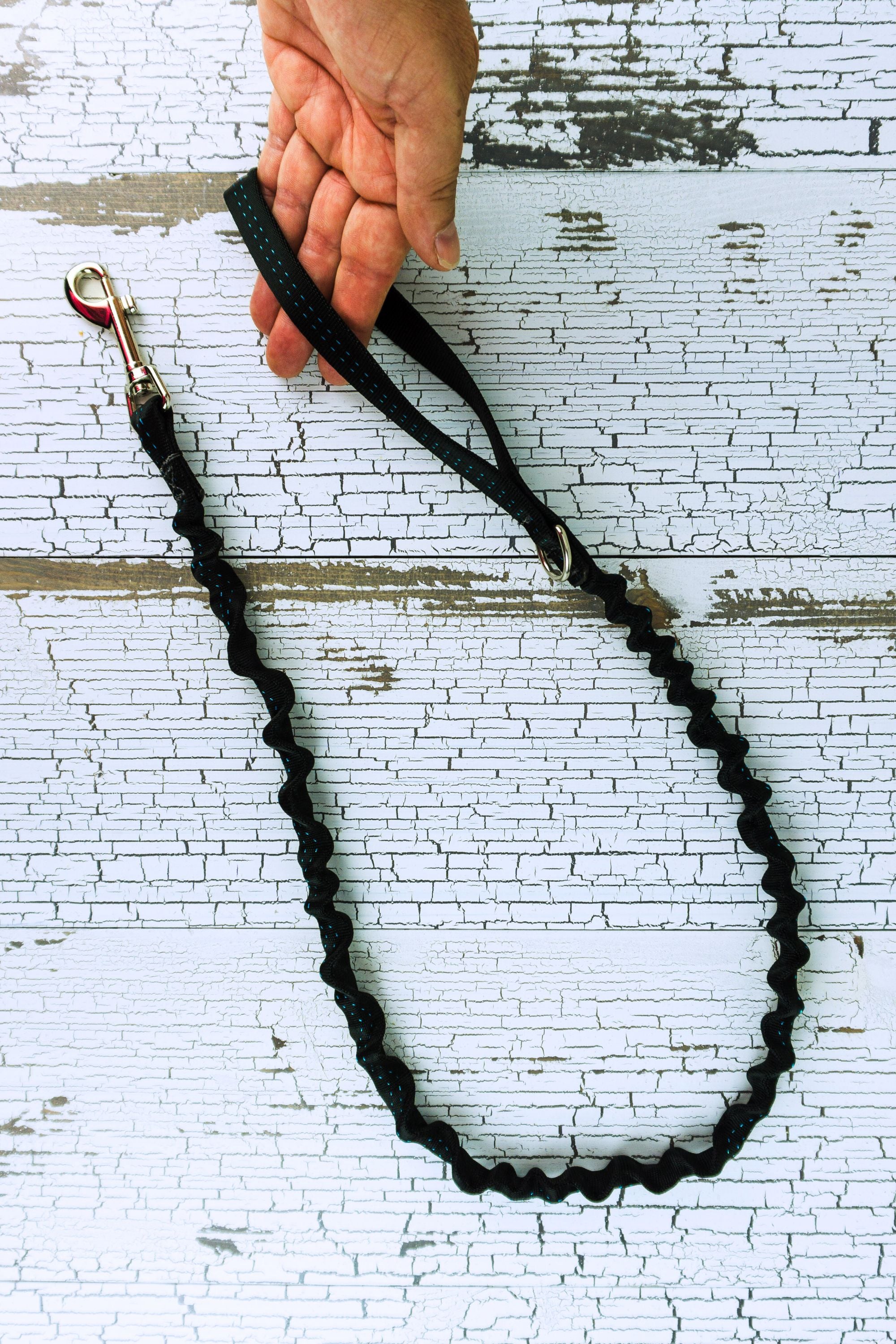 Handheld bungee leash is shown with an adult hand for scale holding the loop handle, image also shows the D ring that is between the loop handle and the stretch portion of the leash.