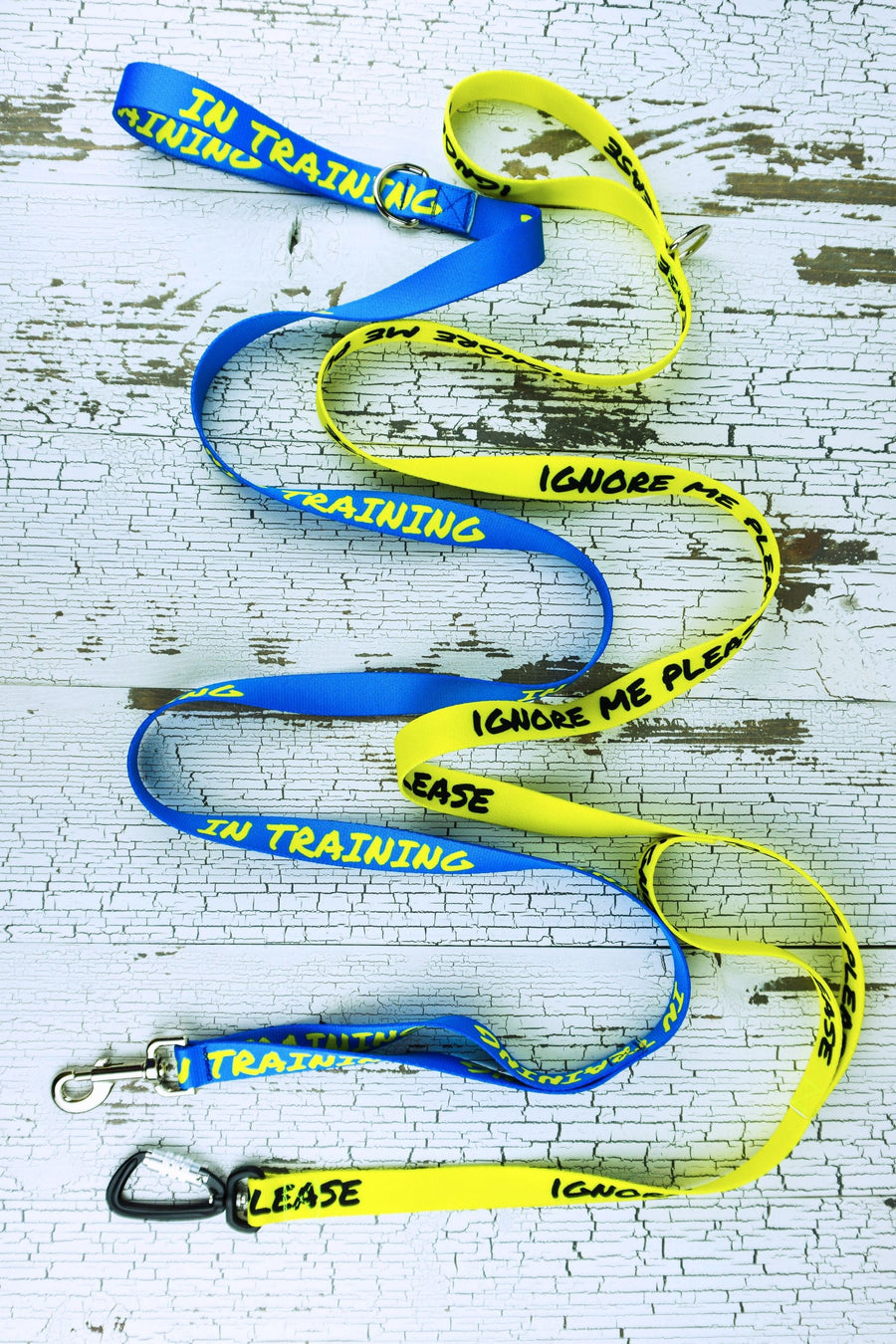 Handheld leashes with traffic handle shown in the safety message webbing, including in training in blue with a swivel snap bolt and the ignore me please in yellow with a carabiner.