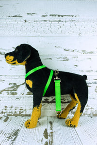 heavy duty training grab tab handle is shown clipped to the back connector on a mannequin dog harness.
