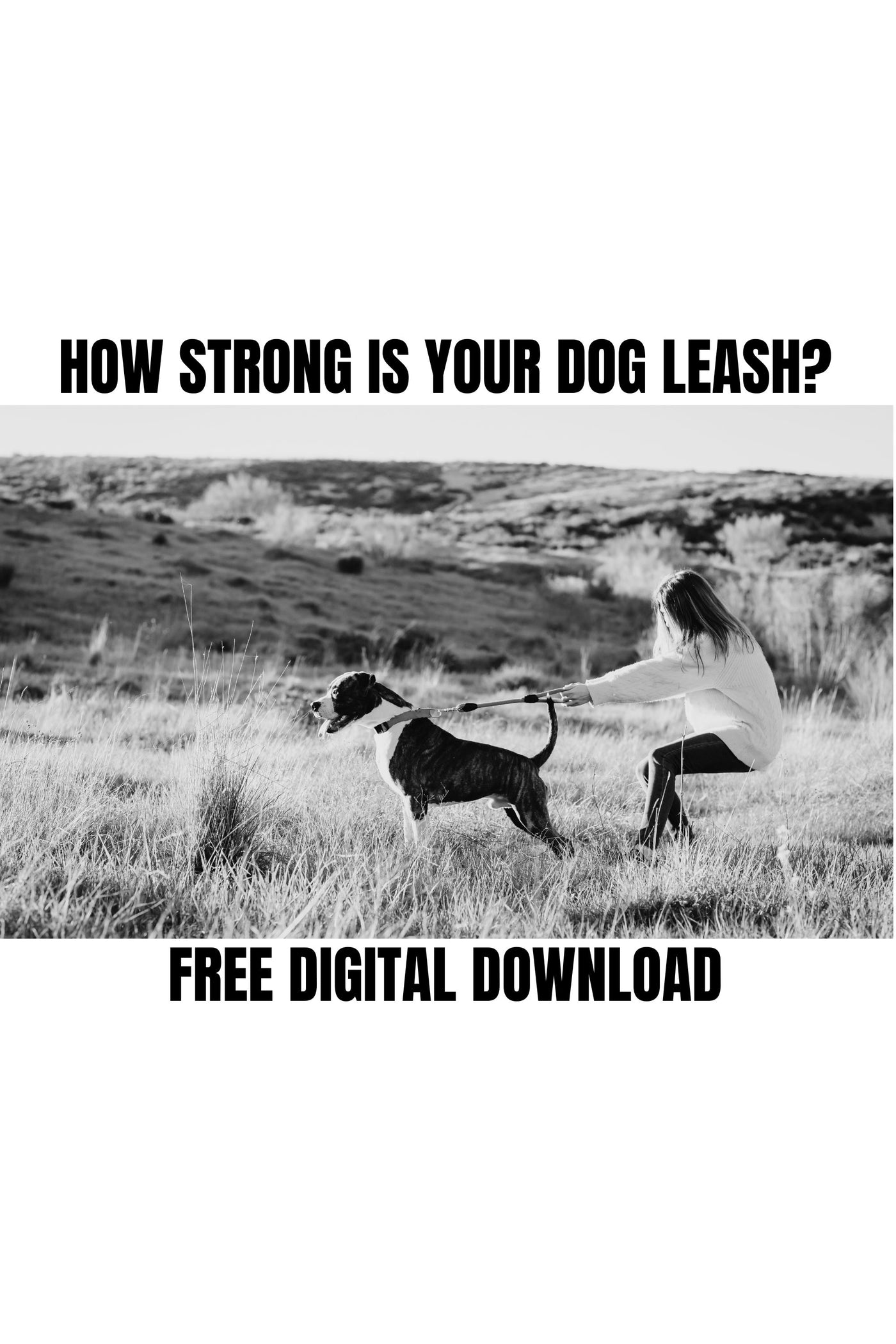 Guideline: How Strong is your Dog Leash Digital Download