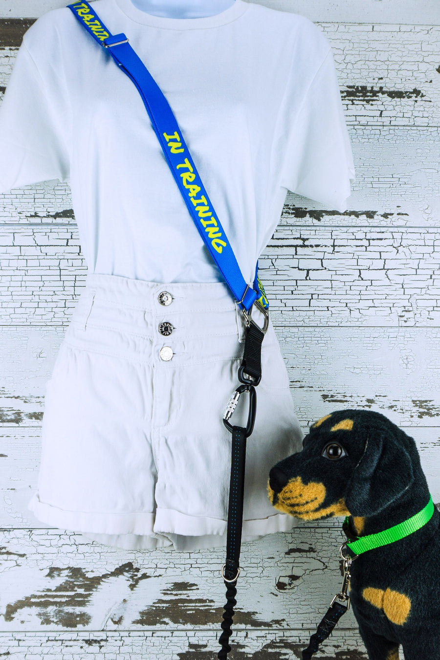 The in training message in blue is shown here in a dog on left configuration with a carabiner hardware selection, positioned on a mannequin with a dog mannequin by the side.