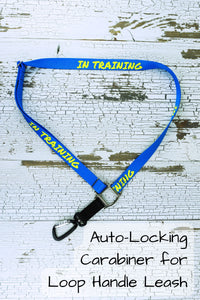 The auto-locking carabiner hardware selection is ideal for using with a loop handle leash. Shown here in blue webbing with yellow in training text