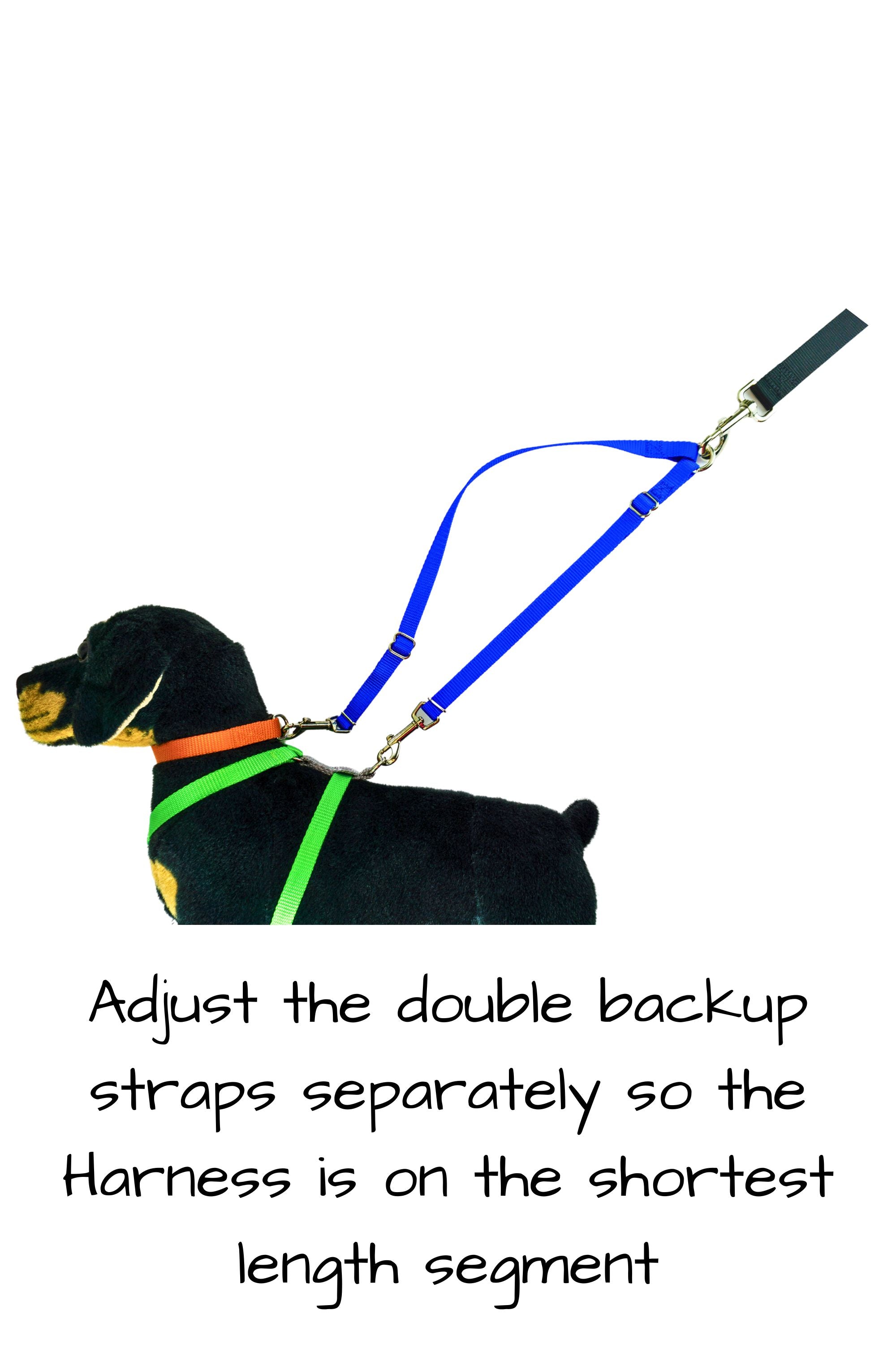 The individual segments of the double backup straps should be adjusted separately so that the harness is on the shortest length segment, and the segment connected to the collar should have some slack.