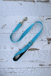 light blue handheld leash with padded handle