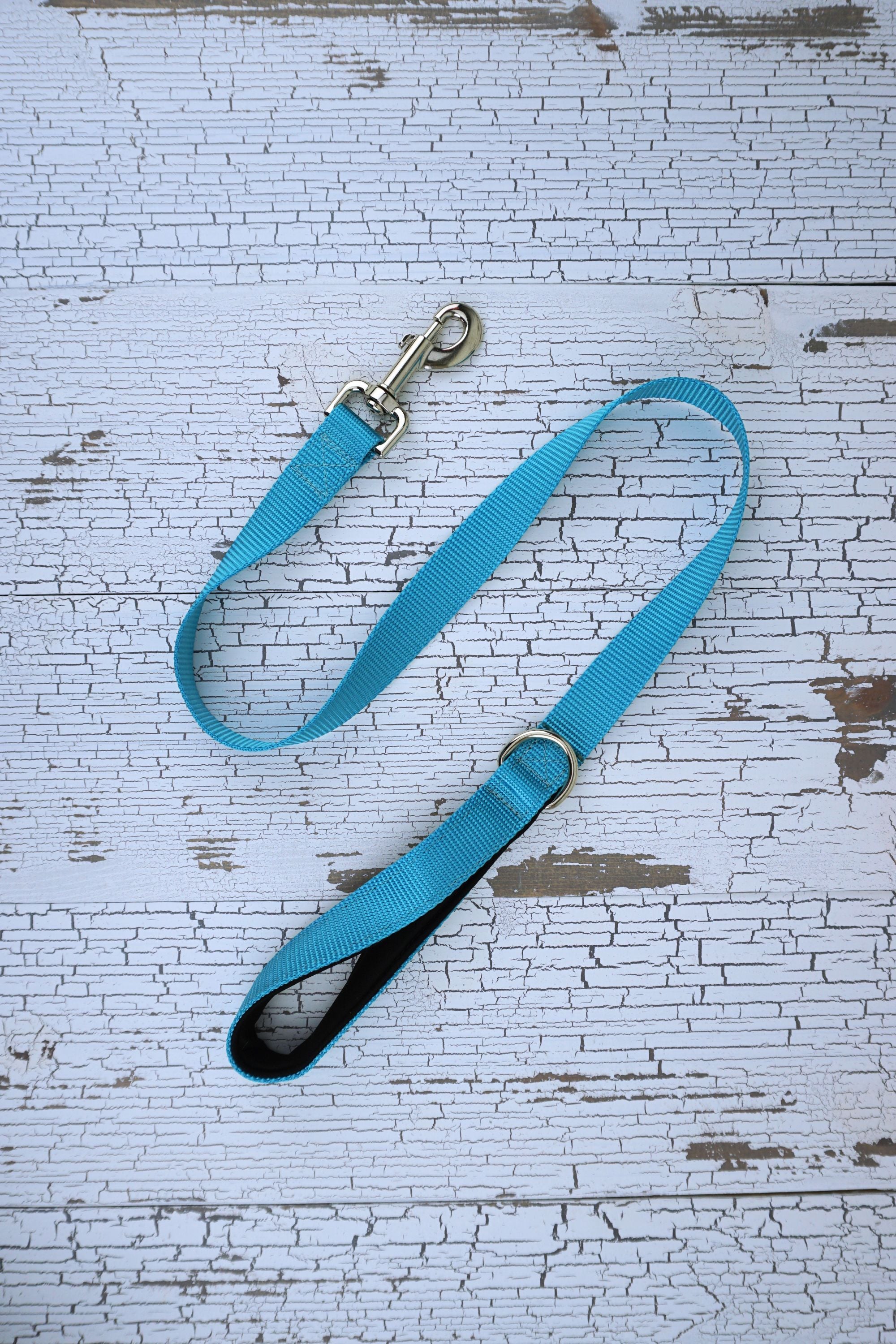 light blue handheld leash with padded handle