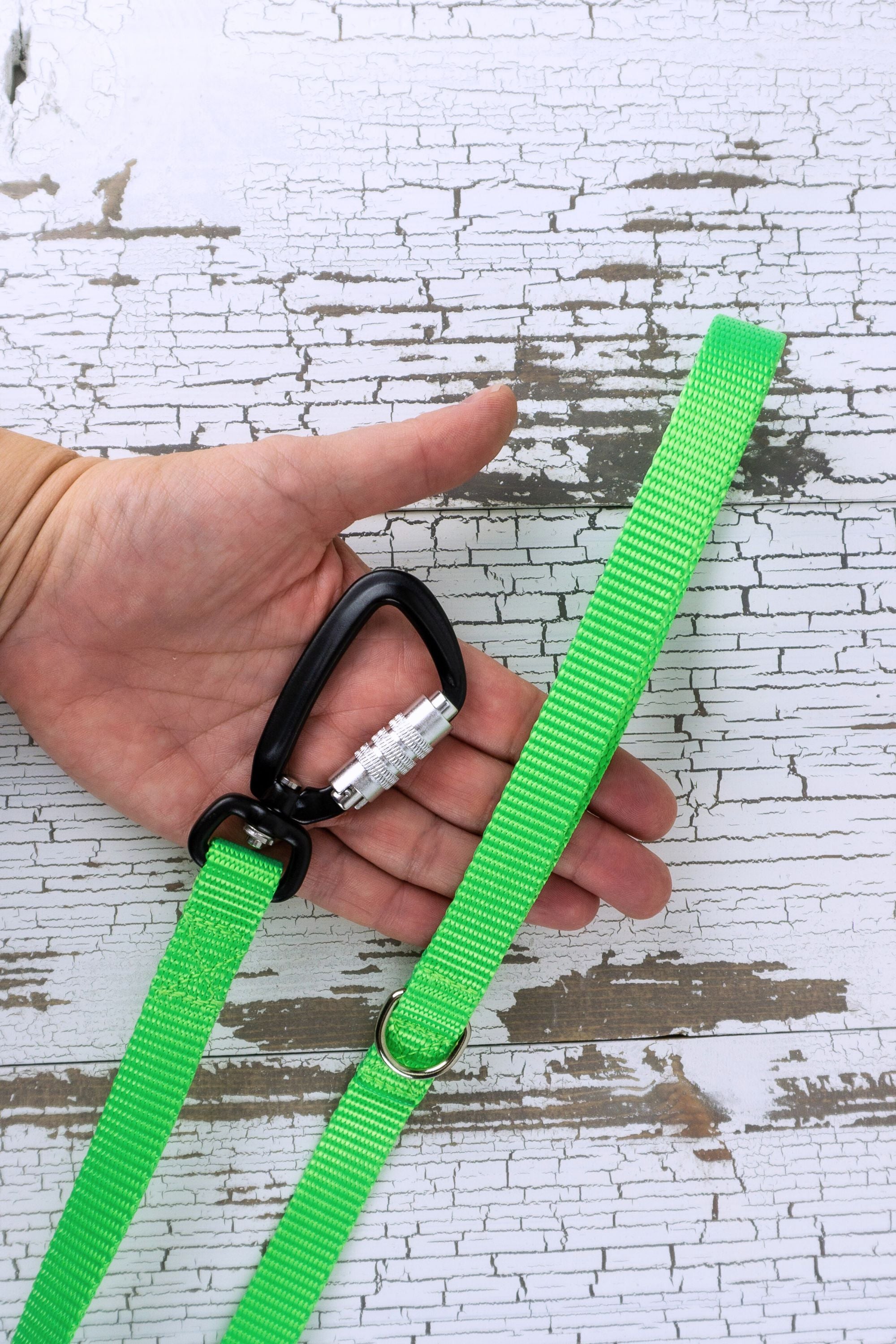 Loop handle leash with d ring and auto locking carabiner, 5/8" webbing is for small dogs under 40 pounds.