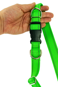 Light weight hands free leash belt held in the hand of an adult to show the scale of the belt hardware.